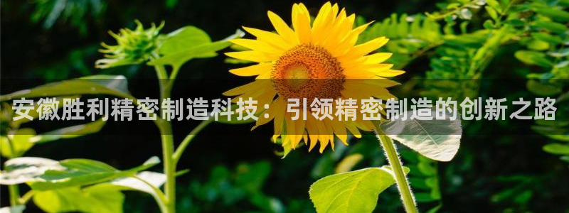 彩神数码科技有限公司：安徽胜利精密制造科技：引领精密制造的创新之路