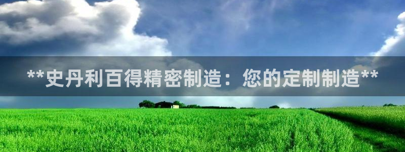 彩神官方登录：**史丹利百得精密制造：您的定制制造**