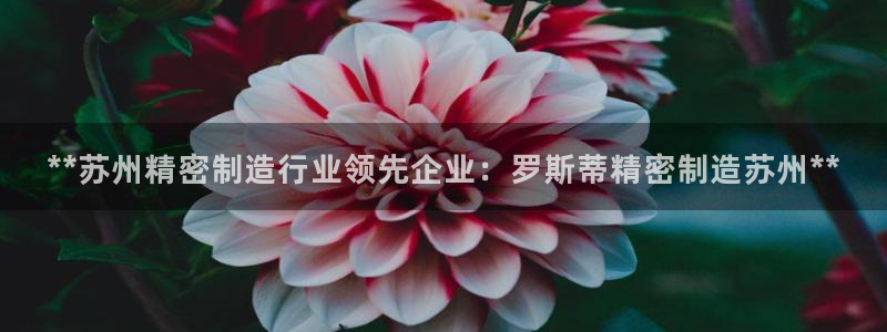 彩神v8平台正规吗：**苏州精密制造行业领先企业：罗斯蒂精密制造苏州**