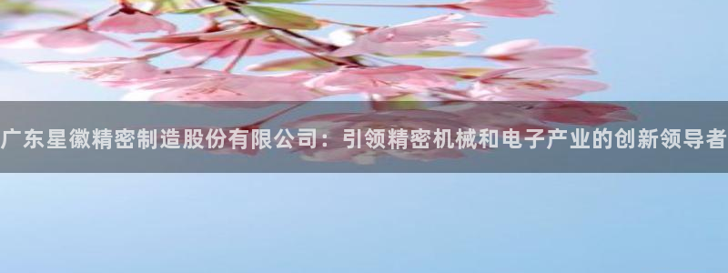 彩神v8手机客户端下载：广东星徽精密制造股份有限公司：引领精密机械和电子产业的创新领导者