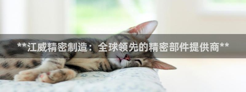 彩神v下载安装：**江威精密制造：全球领先的精密部件提供商**