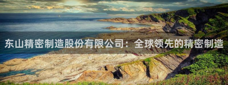 彩神V3大赢家：东山精密制造股份有限公司：全球领先的精密制造