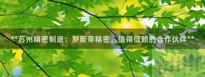 彩神网能赚钱是怎么回事：**苏州精密制造：罗斯蒂精密，值得信赖的合作伙伴**