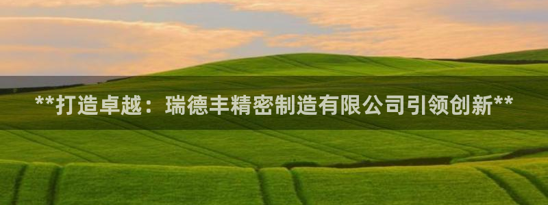 彩神v1破解器：**打造卓越：瑞德丰精密制造有限公司引领创新**