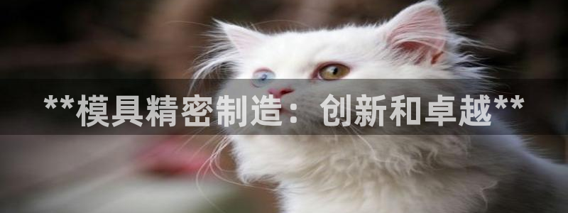 彩神vlll官网网上购彩：**模具精密制造：创新和卓越**