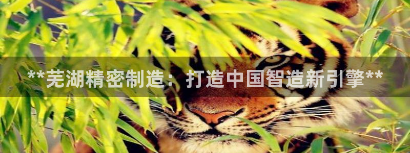 彩神V集团有限公司：**芜湖精密制造：打造中国智造新引擎**