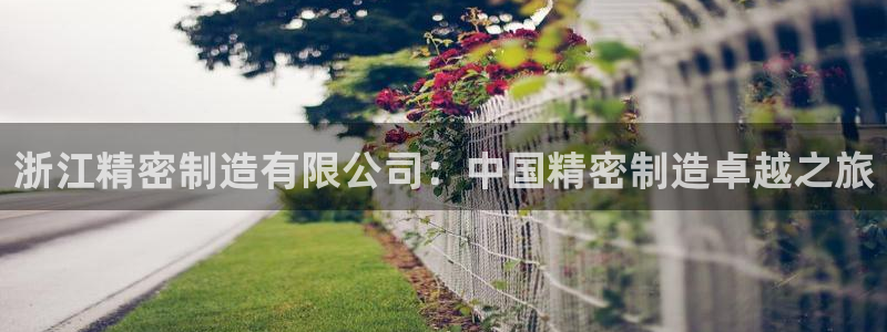 彩神VI首页：浙江精密制造有限公司：中国精密制造卓越之旅