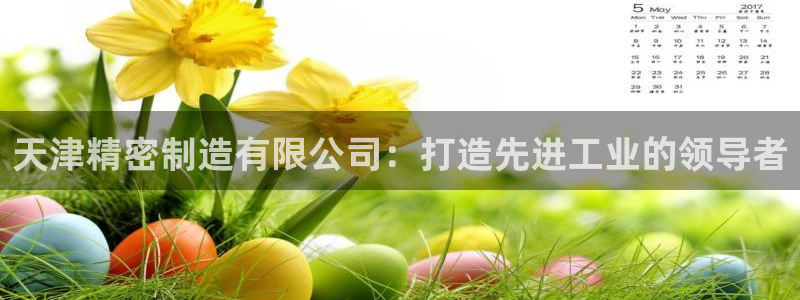 彩神vii购彩l心：天津精密制造有限公司：打造先进工业的领导者