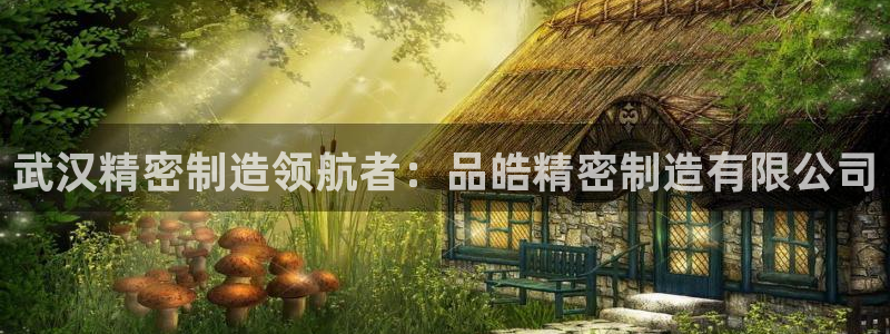 大发彩神争：武汉精密制造领航者：品皓精密制造有限公司