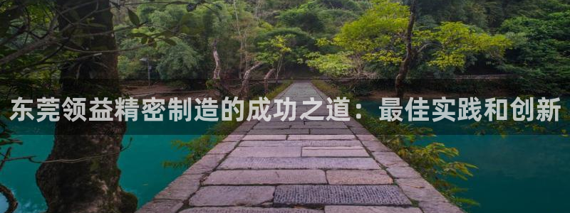 彩神是什么平台：东莞领益精密制造的成功之道：最佳实践和创新