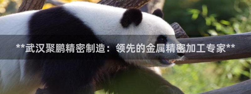 彩神vii购彩l心：**武汉聚鹏精密制造：领先的金属精密加工专家**