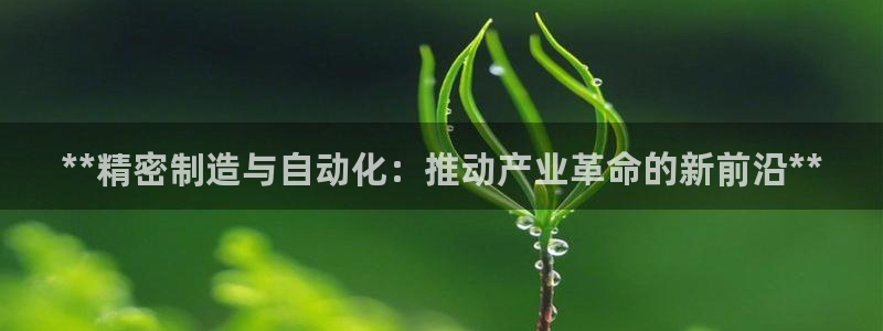 彩神v8下载：**精密制造与自动化：推动产业革命的新前沿**