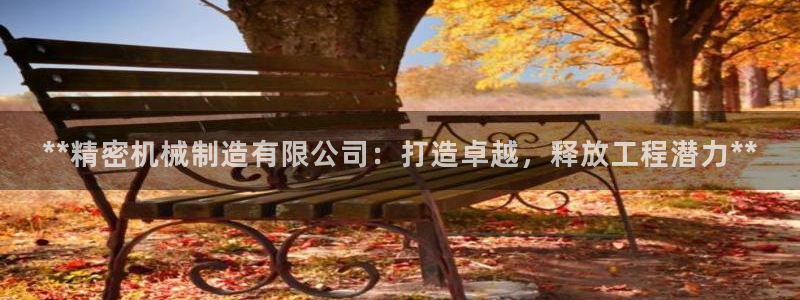 彩神赢的钱是哪里来的：**精密机械制造有限公司：打造卓越，释放工程潜力**