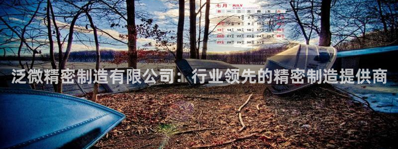 彩神v8是一个什么平台游戏：泛微精密制造有限公司：行业领先的精密制造提供商