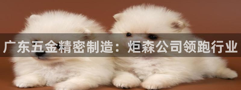 彩神赢钱了吗是真的吗：广东五金精密制造：炬森公司领跑行业