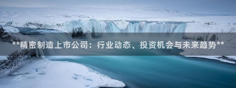 有谁知道彩神争霸的网址：**精密制造上市公司：行业动态、投资机会与未来趋势**