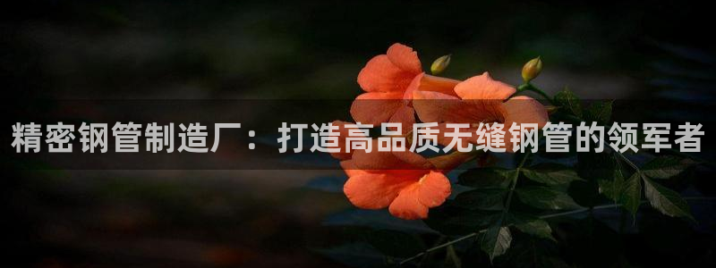 彩神争霸官方下载2017：精密钢管制造厂：打造高品质无缝钢管的领军者