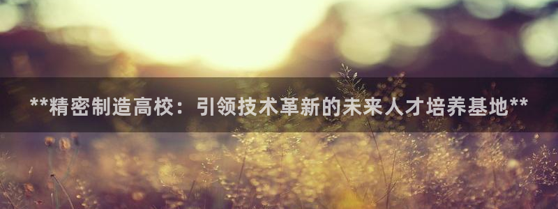 天天彩神welcome：**精密制造高校：引领技术革新的未来人才培养基地**