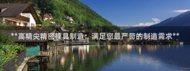 大发彩神最高邀请码：**高精尖精密模具制造：满足您最严苛的制造需求**