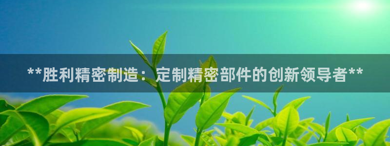 彩神vll首页环球：**胜利精密制造：定制精密部件的创新领导者**