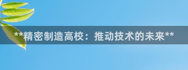 彩神VII官方版：**精密制造高校：推动技术的未来**