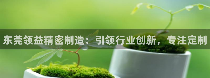 彩神是什么平台的游戏：东莞领益精密制造：引领行业创新，专注定制