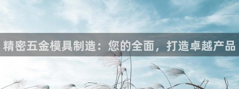 彩神v8是真的挣钱吗：精密五金模具制造：您的全面，打造卓越产品