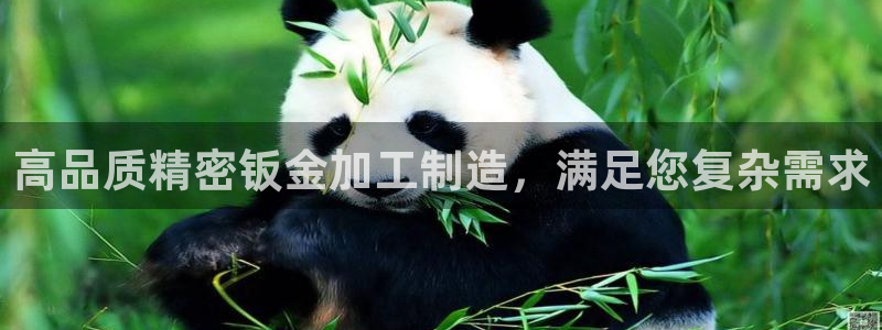 彩神赢的钱是哪里来的啊：高品质精密钣金加工制造，满足您复杂需求