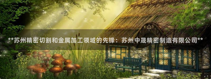 彩神v：**苏州精密切割和金属加工领域的先锋：苏州中晟精密制造有限公司**
