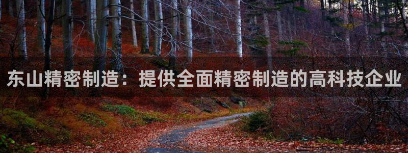 彩神V8有限公司：东山精密制造：提供全面精密制造的高科技企业