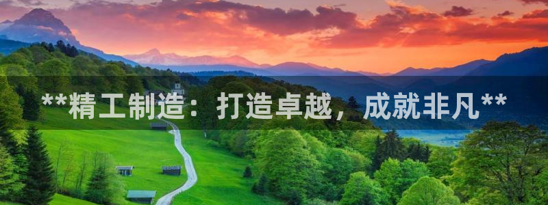 彩神vi争霸官网：**精工制造：打造卓越，成就非凡**
