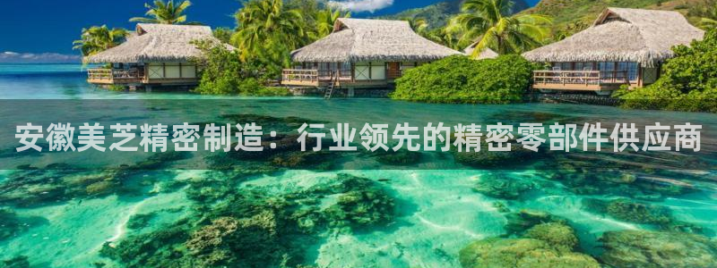 彩神购彩-购彩大厅入口500：安徽美芝精密制造：行业领先的精密零部件供应商