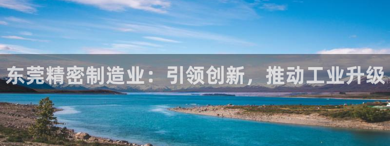 彩神v8平台正规吗可靠吗：东莞精密制造业：引领创新，推动工业升级