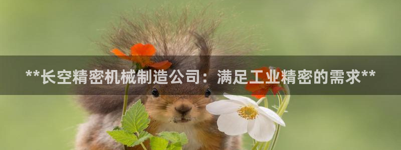 彩神v8平台正规吗知乎：**长空精密机械制造公司：满足工业精密的需求**