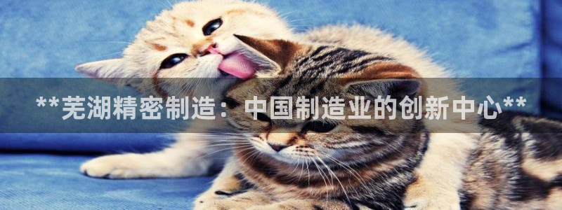 彩神旗下有哪些平台可以看：**芜湖精密制造：中国制造业的创新中心**