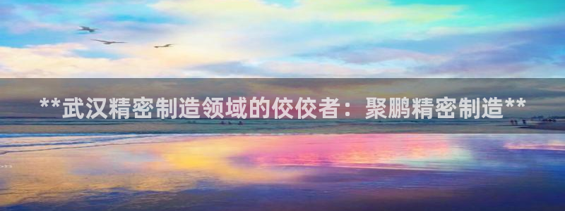 彩神8官网500：**武汉精密制造领域的佼佼者：聚鹏精密制造**