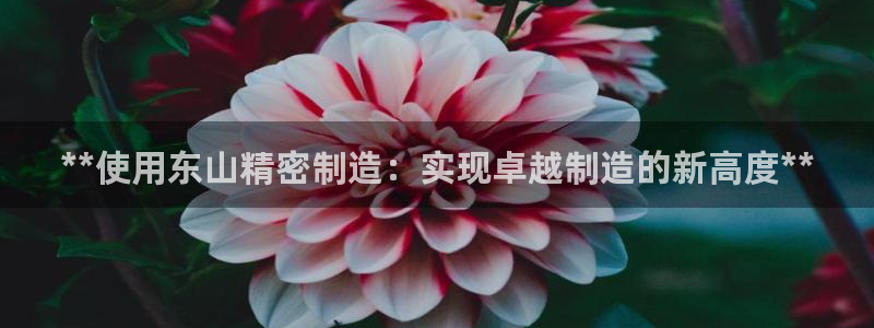 彩神ix是真的吗：**使用东山精密制造：实现卓越制造的新高度**