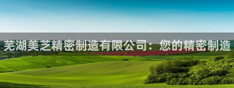 彩神v8是真的挣钱吗知乎：芜湖美芝精密制造有限公司：您的精密制造