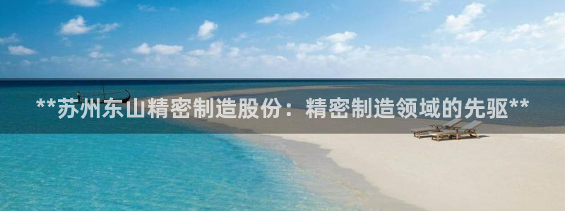 彩神数码科技有限公司：**苏州东山精密制造股份：精密制造领域的先驱**