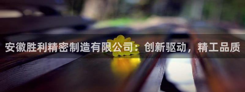 彩神是怎样一个平台：安徽胜利精密制造有限公司：创新驱动，精工品质