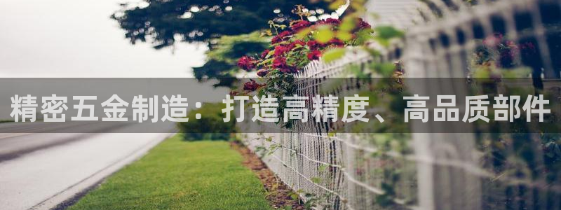 彩神vll官网-最新版app下载：精密五金制造：打造高精度、高品质部件