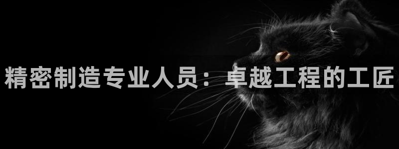 彩神v8iii：精密制造专业人员：卓越工程的工匠