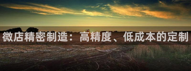 彩神可以提现吗：微店精密制造：高精度、低成本的定制