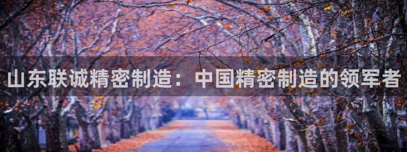 彩神vlll游戏特色：山东联诚精密制造：中国精密制造的领军者