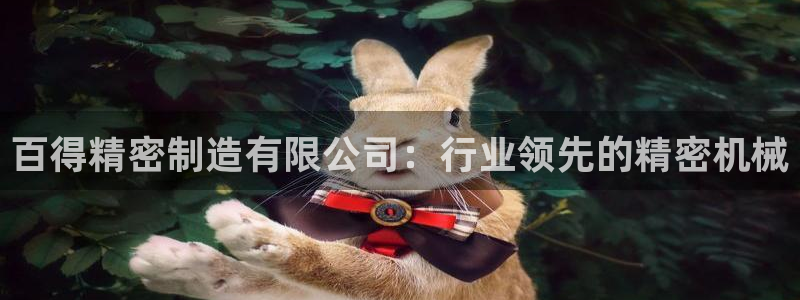 彩神vlll官方网：百得精密制造有限公司：行业领先的精密机械