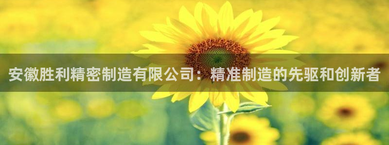在彩神网输了六万多怎么拿回来：安徽胜利精密制造有限公司：精准制造的先驱和创新者