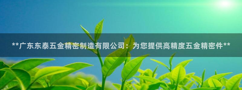彩神v1破解器：**广东东泰五金精密制造有限公司：为您提供高精度五金精密件**