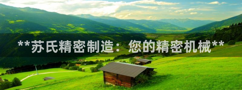 彩神V集团有限公司：**苏氏精密制造：您的精密机械**