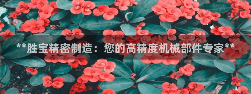 彩神v大众娱乐：**胜宝精密制造：您的高精度机械部件专家**