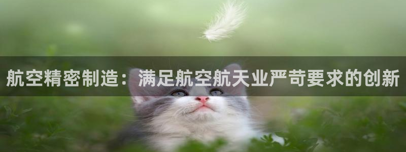 彩神vll官网-最新版app下载：航空精密制造：满足航空航天业严苛要求的创新